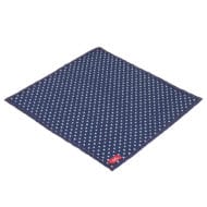 blue hanky with white polka dots, single ply