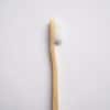 Brosse à dents bambou
